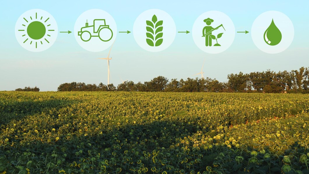 Comparing the Environmental Impact of Different Sugar Sources