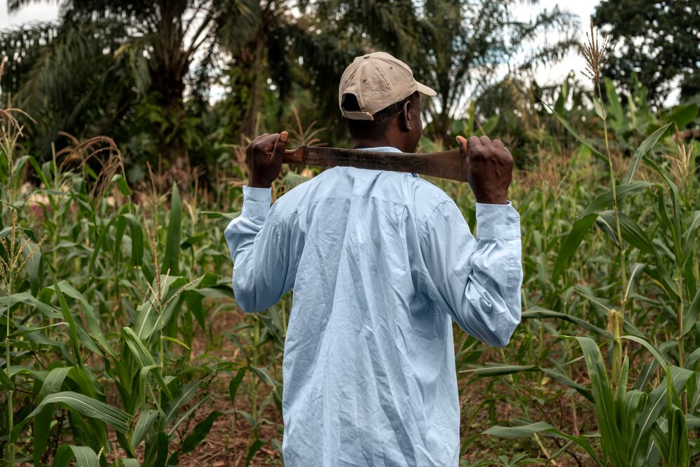 Improving Farmer Livelihoods through Sustainable Sugar